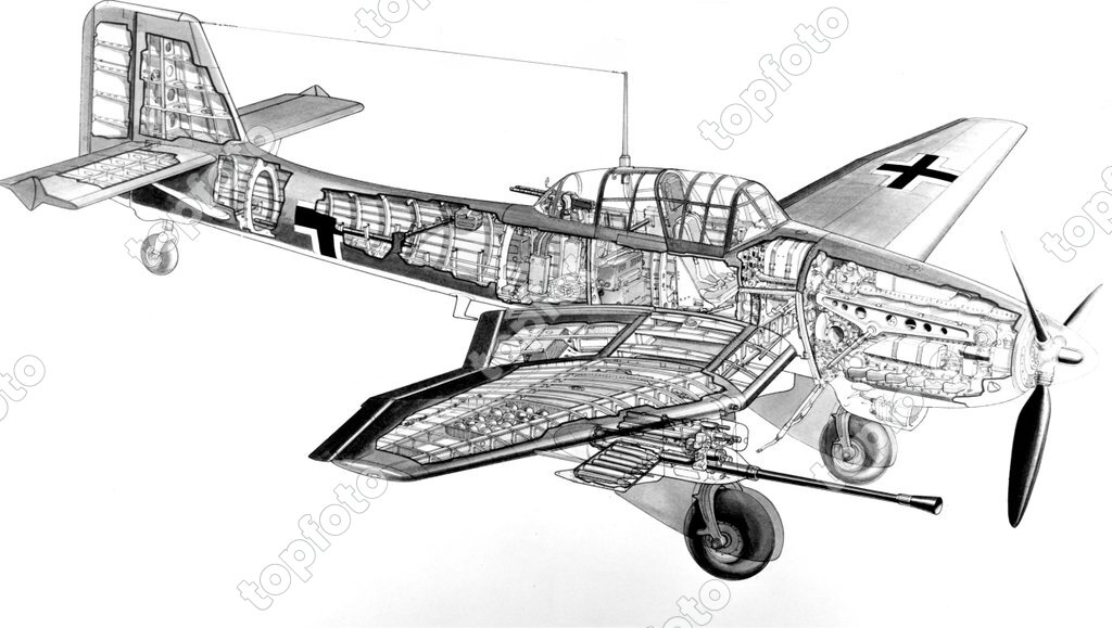 Technical Drawing Of Junkers Ju87 Stuka Dive Bomber As Cutaway Showing ...