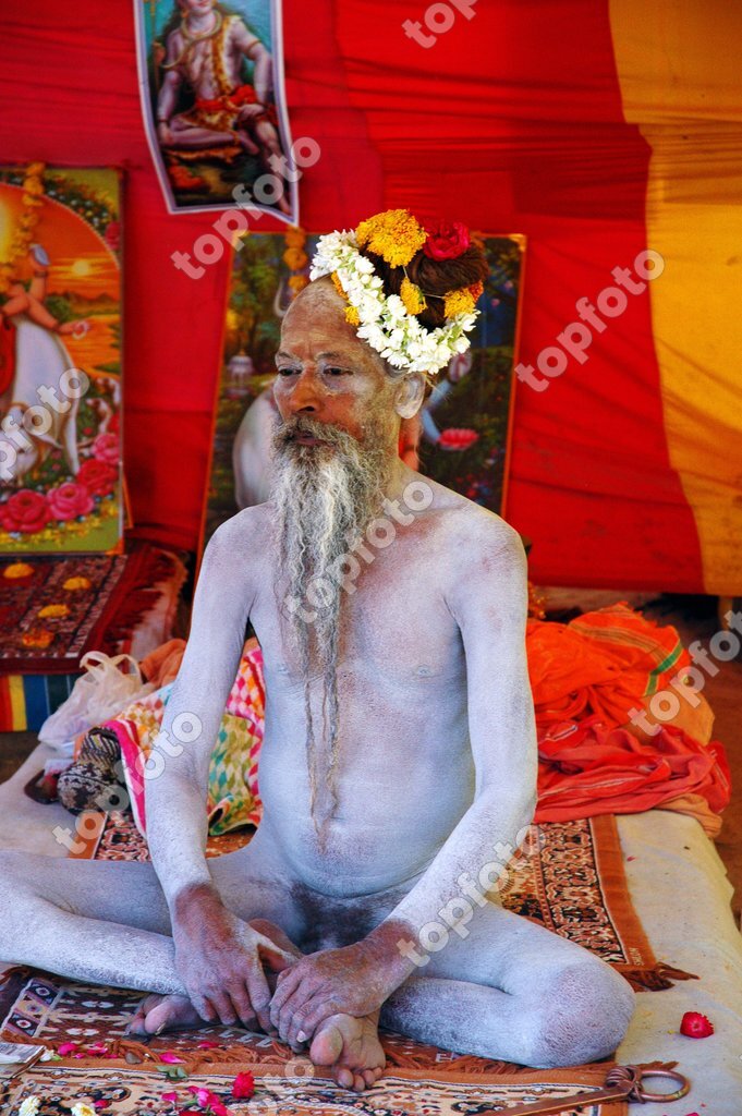 Flower From India Nudes - SUB-92208 Old Indian nude naked priest naga sadhu with long flowing beard  and flower decoration on his head - TopFoto