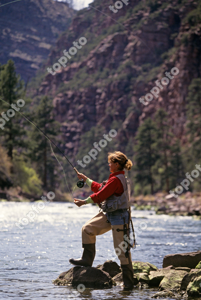 WOMAN FLY-FISHING TROUT ON GREEN RIVER DUTCH JOHN UTAH USA - TopFoto