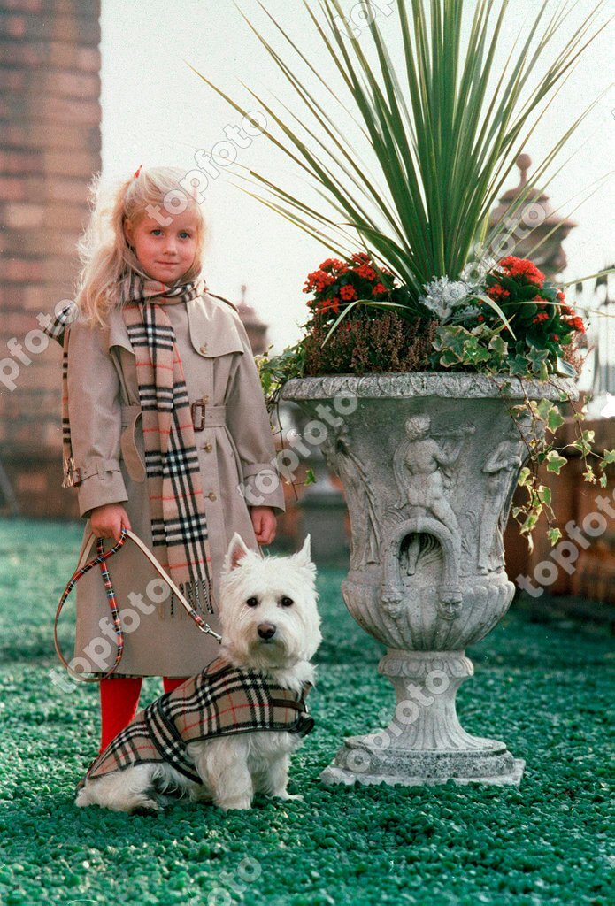 BURBERRY COAT FOR DOGS Five-year-old GEMMA wears a beige Burberry  trenchcoat with check lining