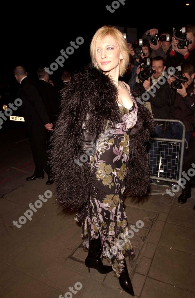 ©UPPA.CO.UK CATE BLANCHETT actress attending the Empire Film Awards at ...