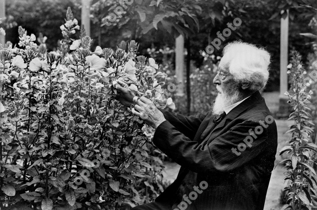 Hugo De Vries ( 1848-1935 ), Dutch botanist, proceeding to an ...