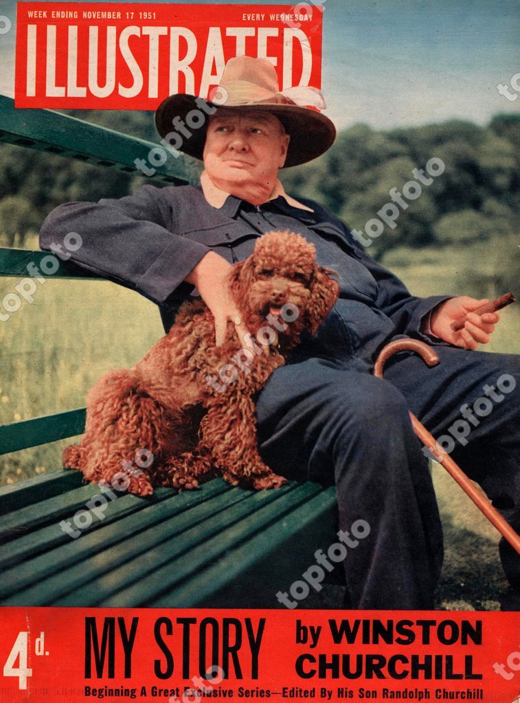 did churchill have a poodle